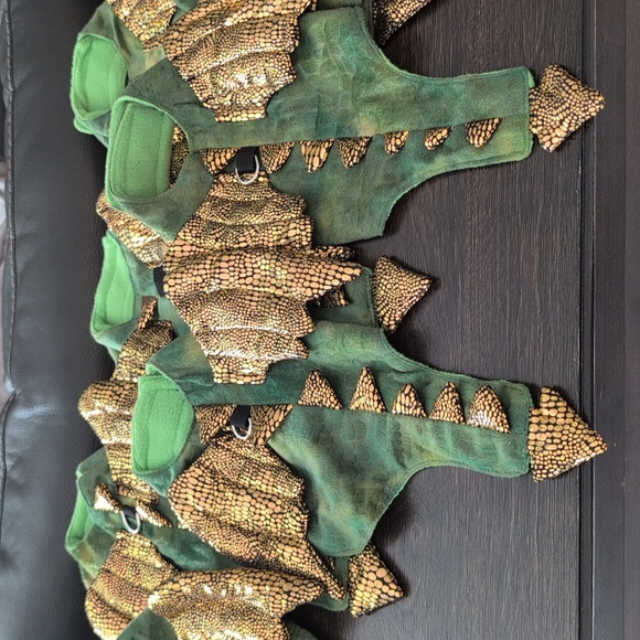 Small Pet Dragon outfit - Picture 2 of 9